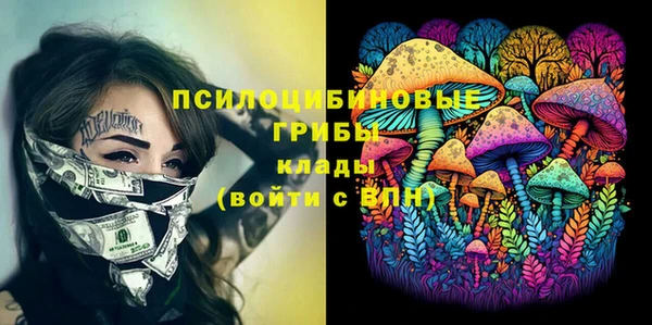 ешки Алексеевка