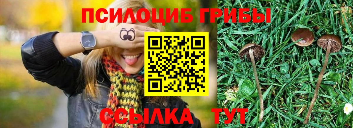 Балашиха  Галлюциногенные грибы ЛСД  Вход с VPN  Псилоцибиновые грибы мицелий 
